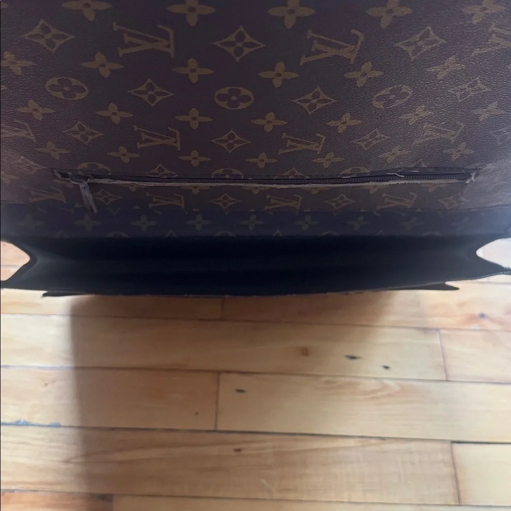 Louis Vuitton stylish louis